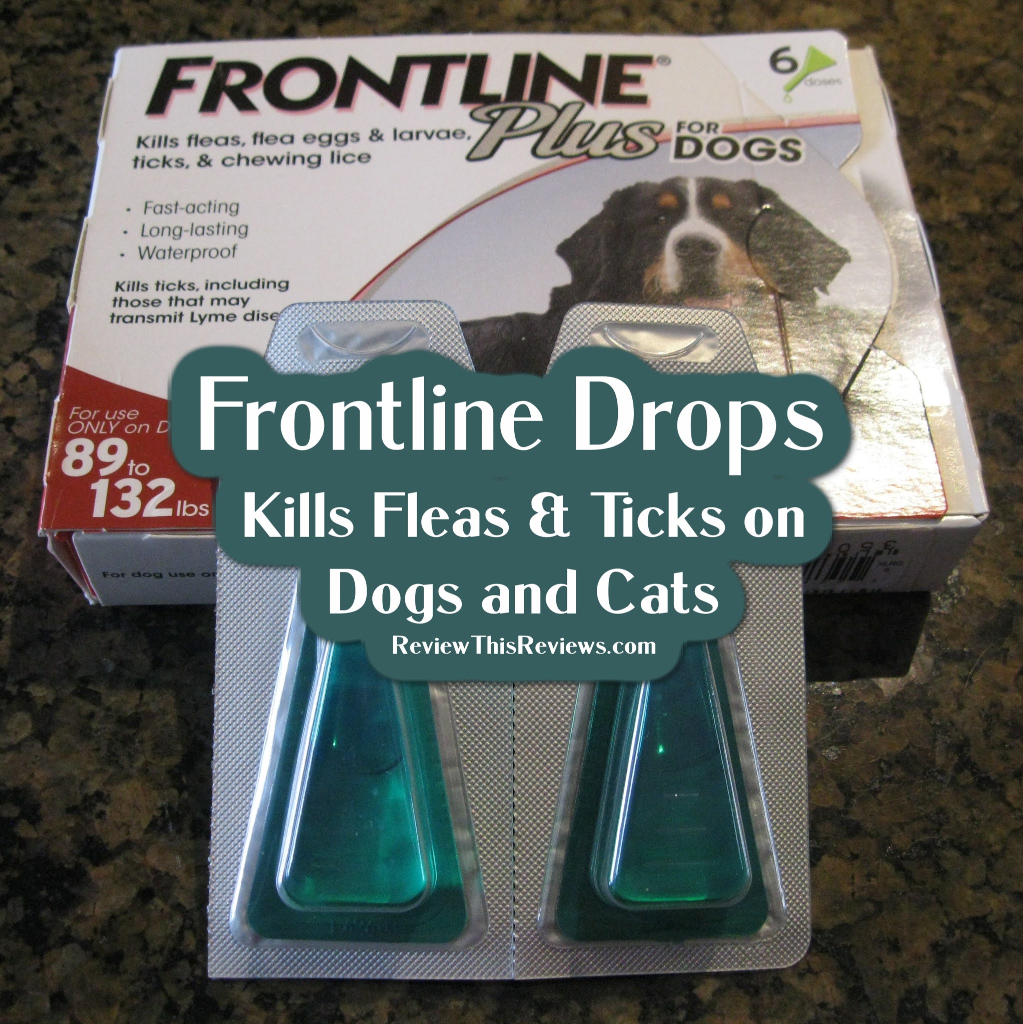 Frontline Flea & Tick Drops for Dogs and Cats Reviewed