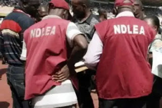 NDLEA Ta Cafke Dillalan Kwayoyi 89 da Tan 2,800 Na Haramtattun Magunguna a Kebbi NDLEA Ta Cafke Dillalan Kwayoyi 89 da Tan 2,800 Na Haramtattun Magunguna a Kebbi