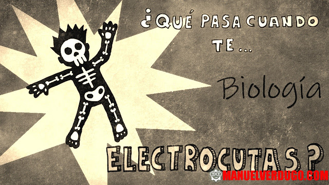 ¿Qué le pasa a tu cuerpo al entrar en contacto con la luz eléctrica?