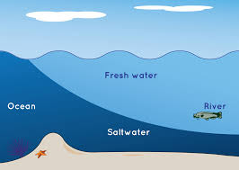 Ocean Salinity upsc