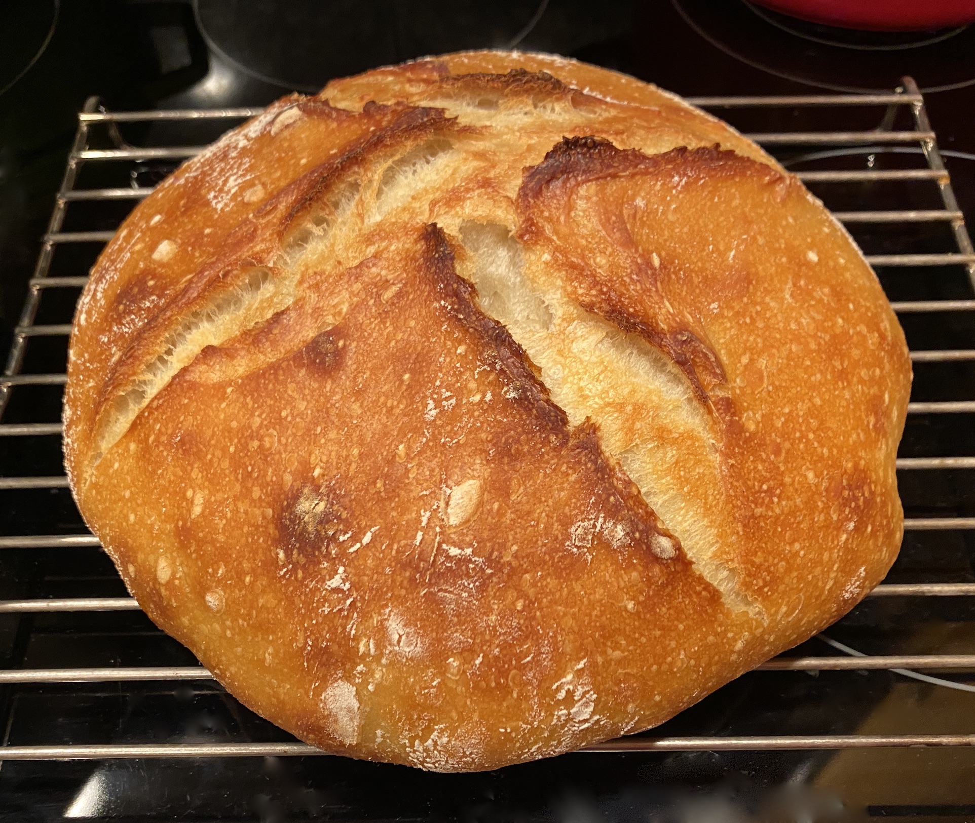 Teresa Kasner Chicken Soup and Sourdough Bread