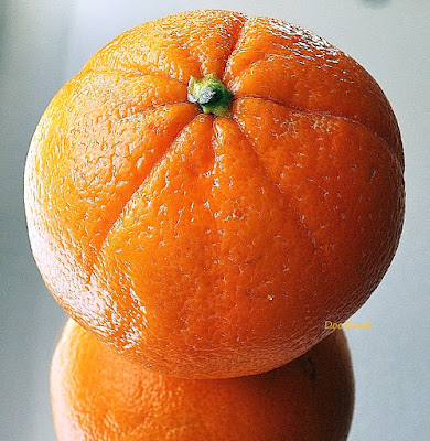 Orangen (Citrus sinensis)