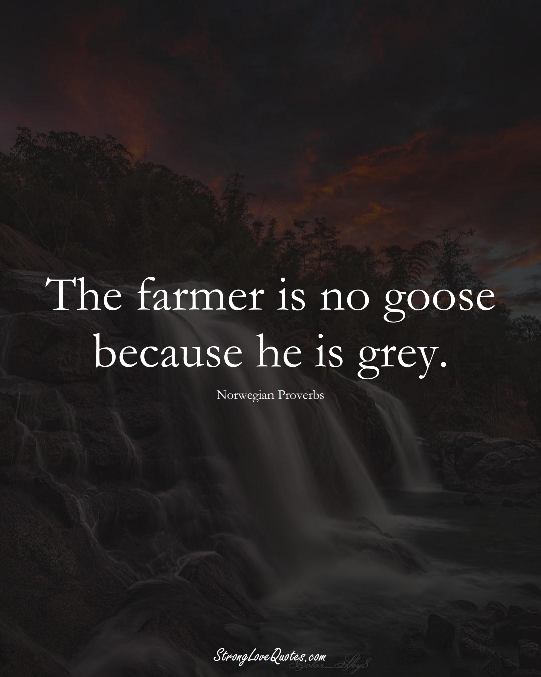 The farmer is no goose because he is grey. (Norwegian Sayings);  #EuropeanSayings