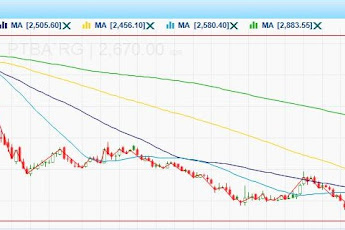 Cara Memilih Saham Blue Chip