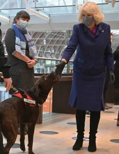 Duchess of Cornwall visited Paddington Station to watch a demonstration by the charity Medical Detection Dogs. blue navy blazer