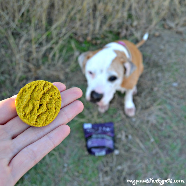 Austin & Kat CBD Infused Dog Biscuits What Are the Benefits of CBD