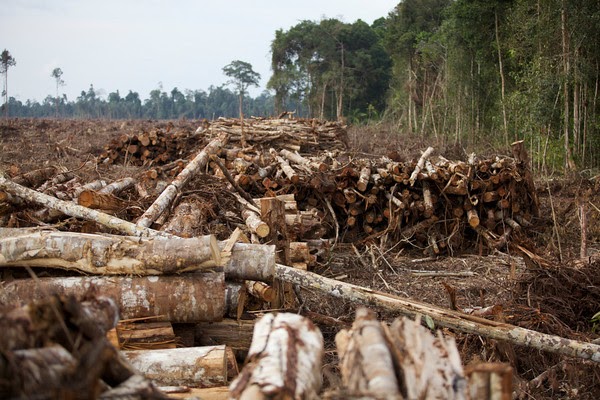 33+ Gokil Abis Gambar Pemandangan Alam Yang Rusak