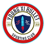 YOUNG XI BULLET SPORTING CLUB