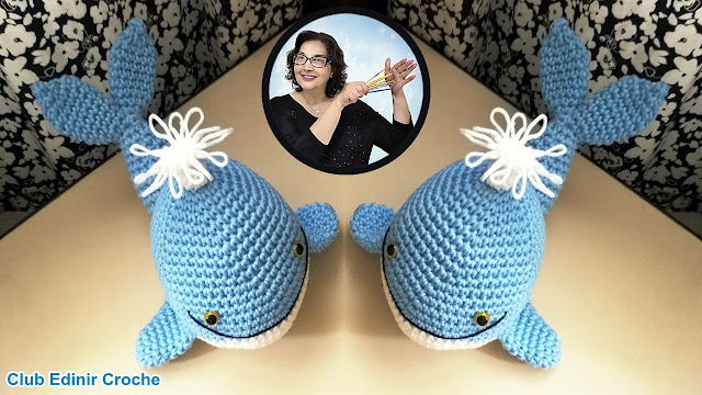 Curso de Crochê Avançado para Iniciantes - Se transforme em uma artesã de crochê profissional com Edinir Croche