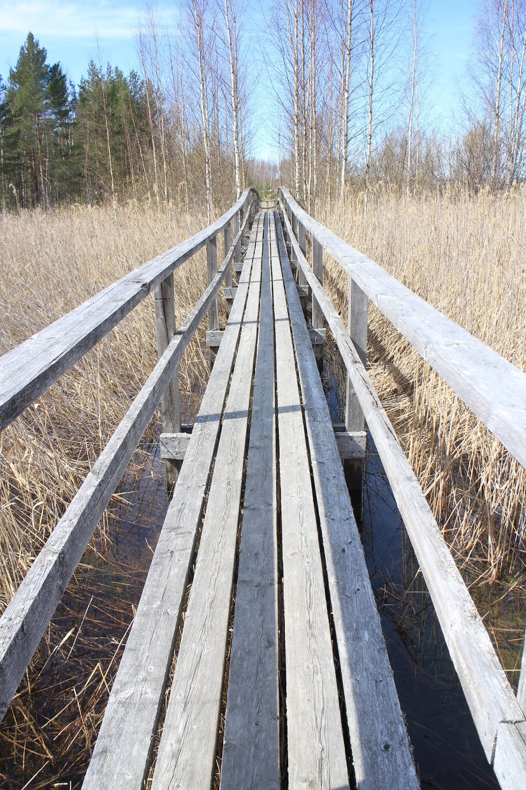 Päivänsäteen Menninkäinen Iitissä En Iitti
