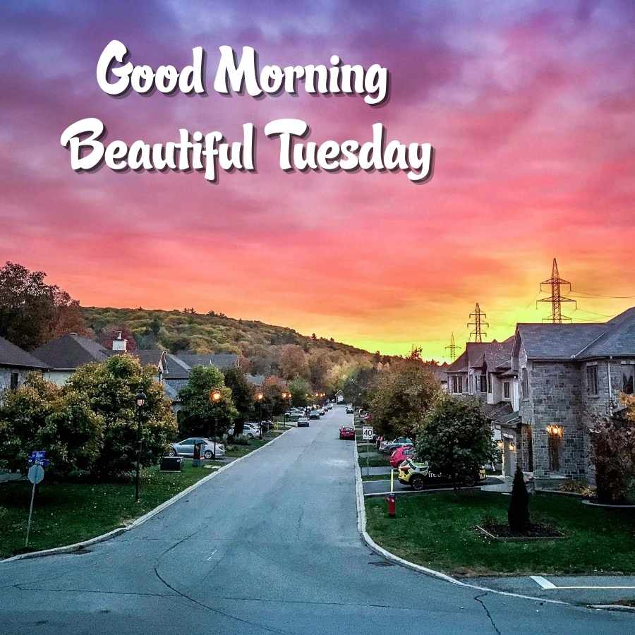 good tuesday morning