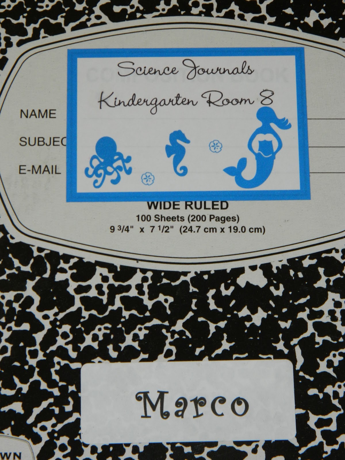 Kindergarten Milestones: July 2012