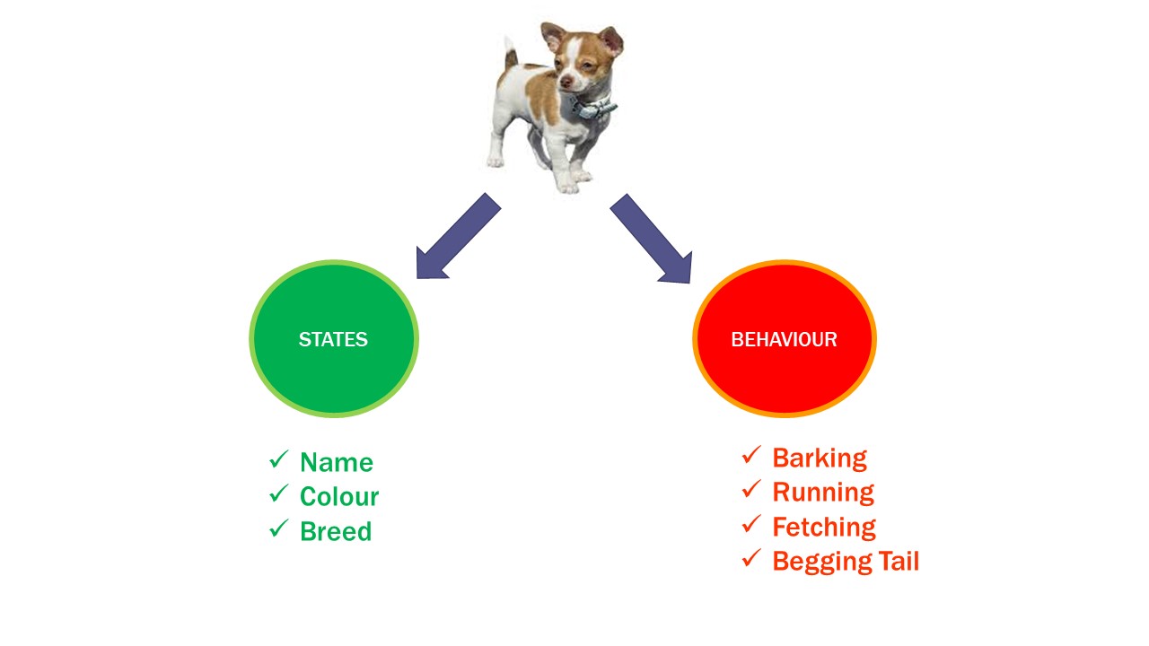 Object Oriented Programming (OOP) in Layman's Terms - Tech Bowl