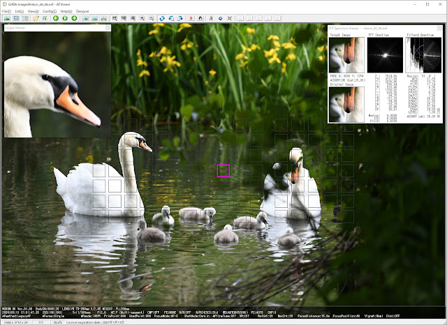 NIKON D6 VR 70-200mm f/2.8E ISO:100 F:2.8 Tv:1/160s Focus:AF-S Area:Single