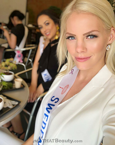 Мисс швеция 2017 Мисс швеция 2017