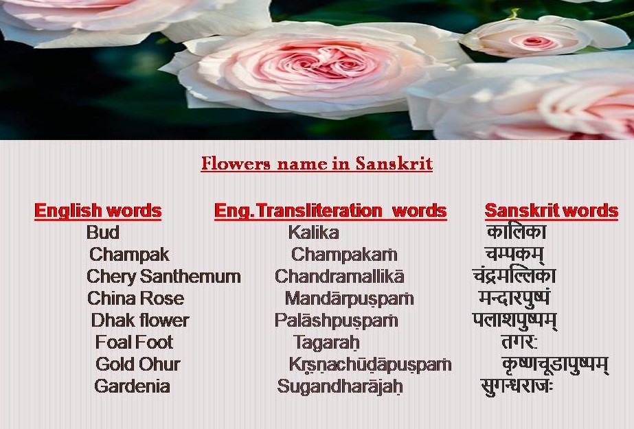 national flower essay in sanskrit language