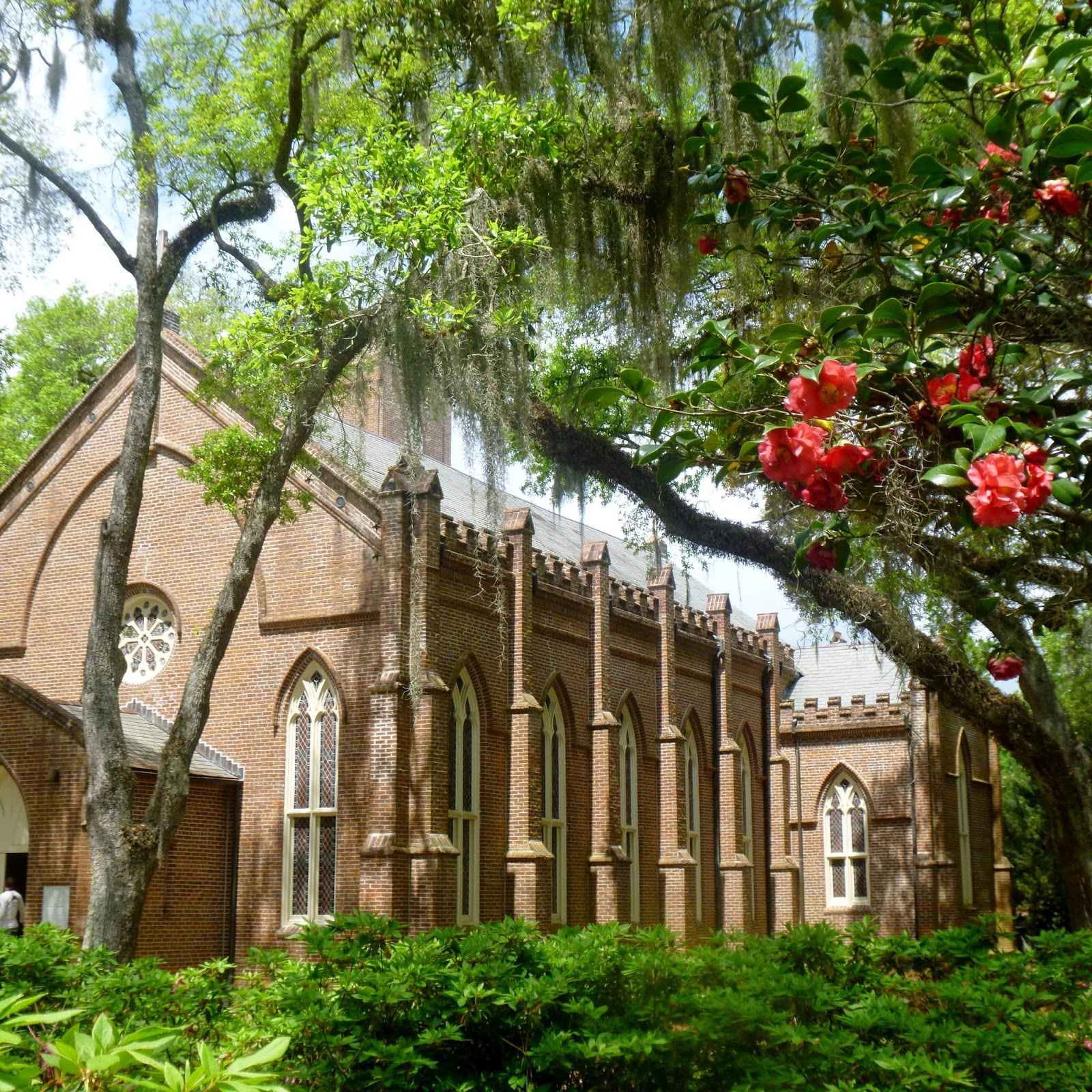 A Magnificent Yearning: Travels Near & Far: Baton Rouge 2014: Moss and