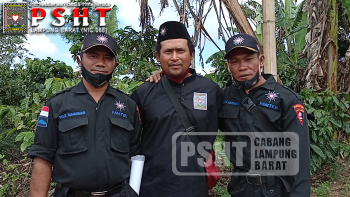 Tes Ayam Jago Siswa PSHT Ranting Sekincau, Belalau dan Batu Ketulis Cabang Lampung Barat