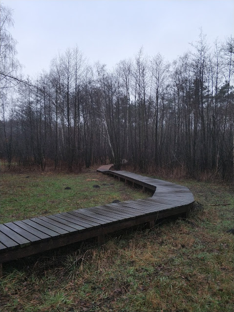 Motyla Łąka Kampinoski Park Narodowy