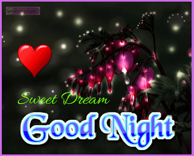good-night-shayari-with-photo good-night-images-for-whatsapp-free-download