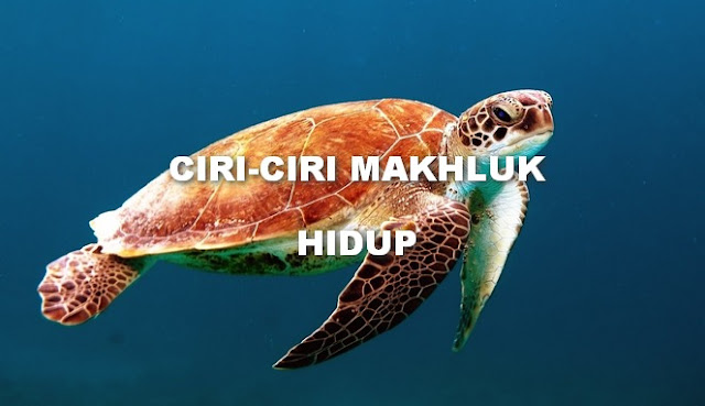 ciri-ciri makhluk hidup