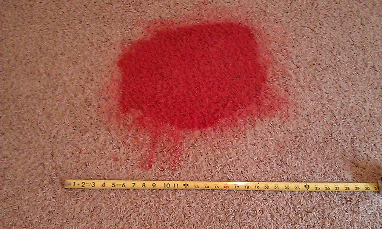 Mesa Carpet Cleaning Company 4808989111 Carpet Medic Carpet