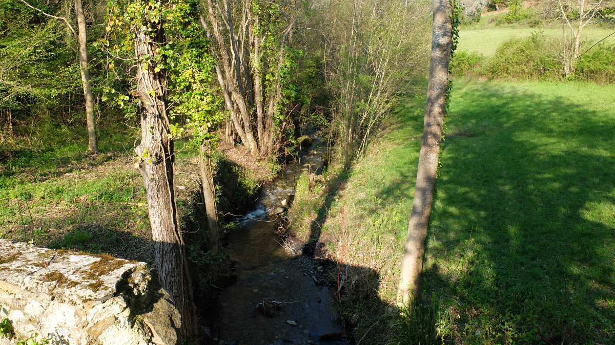 lesdanjean Forêt de Boucheville 6 avril 2017