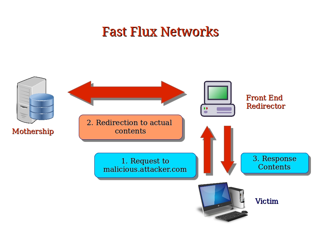 Computer Security and PGP Fast Flux Networks