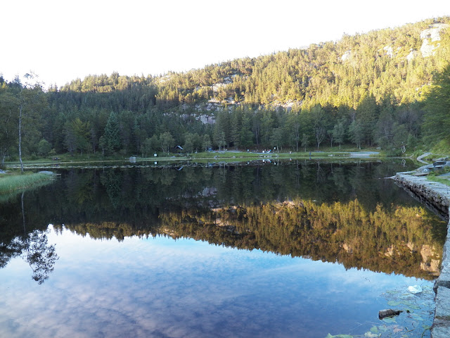 Fiordos Noruegos - Oslo (14 días por nuestra cuenta) Agosto 2013 - Blogs de Noruega - Día 4 (Eidfjord - Bergen) (14)