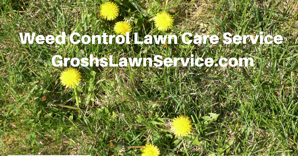 Groshs Lawn Service Weed Control Lawn Care Service Smithsburg MD