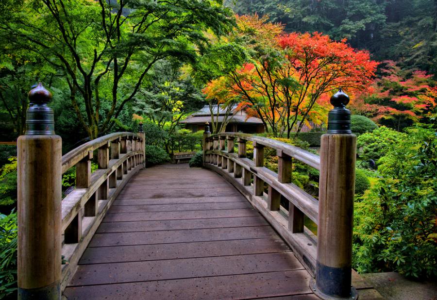 Get Images Beautiful Wooden Bridges Under Nature