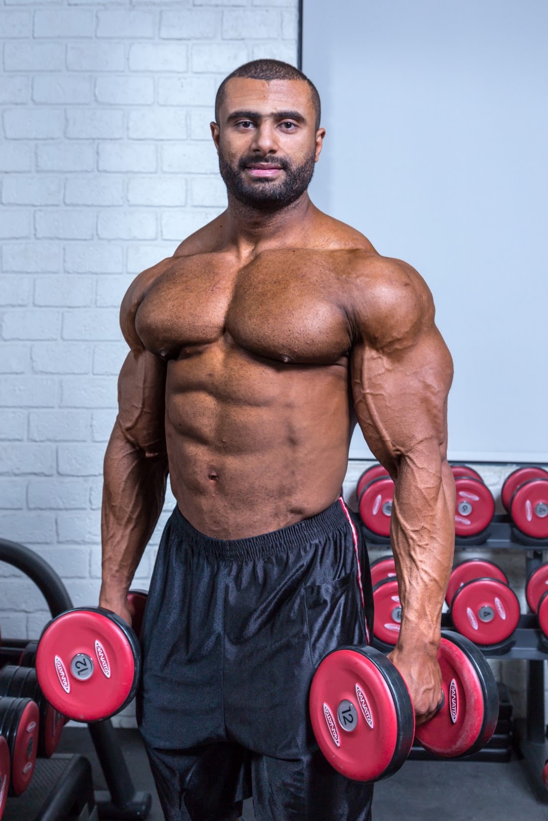 Muscle Lover IFBB Pro Ahmed Shams Gym Photo shoot + Video