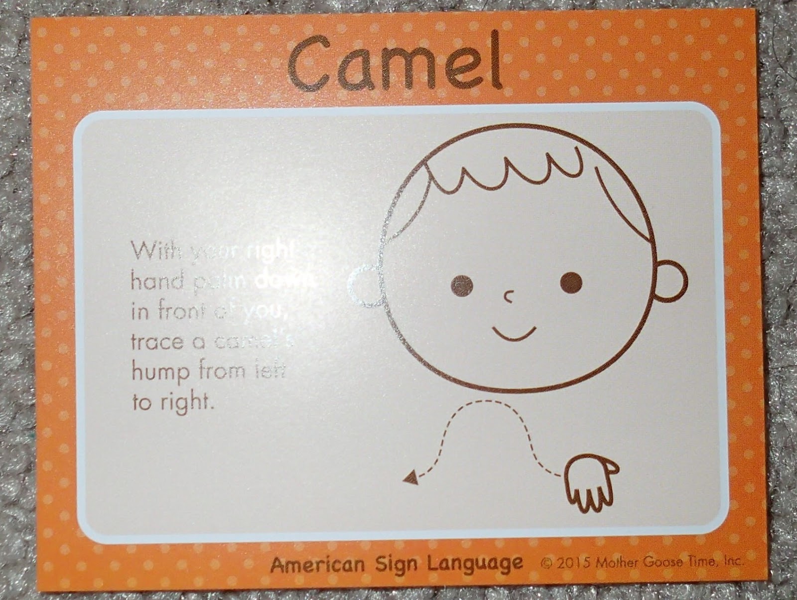 1 Day at Home Learning About Camels Through Individualized Instruction