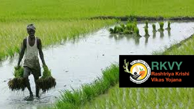 Rashtriya Krishi Vikas Yojana Rashtriya+Krishi+Vikas+Yojana