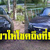 จงอางเลื้อย ขึ้นรถเก๋ง แผ่แม่เบี้ยให้โชค
