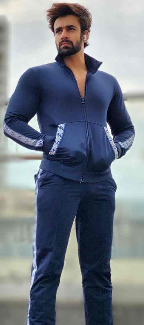 Pearl V Puri Wiki, Biography, Age, Girlfriend, Image, Facts and More