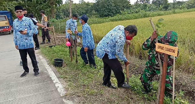 Penghijauan Angsana Turus Jalan Dk.Karang Geneng – Dk.Kedungpring