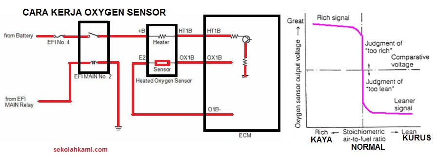Sensor oxygen перевод