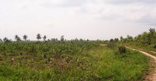 Pengertian Ihrazul Mubahat Khalafiyah Ihyaul Mawat Syarat Hukum Dan Macamnya Bacaan Madani Bacaan Islami Dan Bacaan Masyarakat Madani