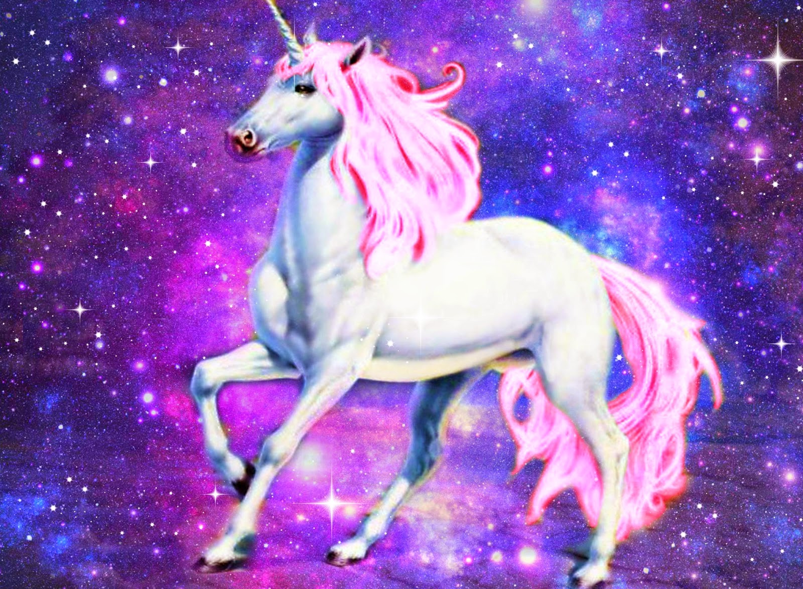 Unicorn Fashion Picks You Re Never Too Old Sweet Elyse