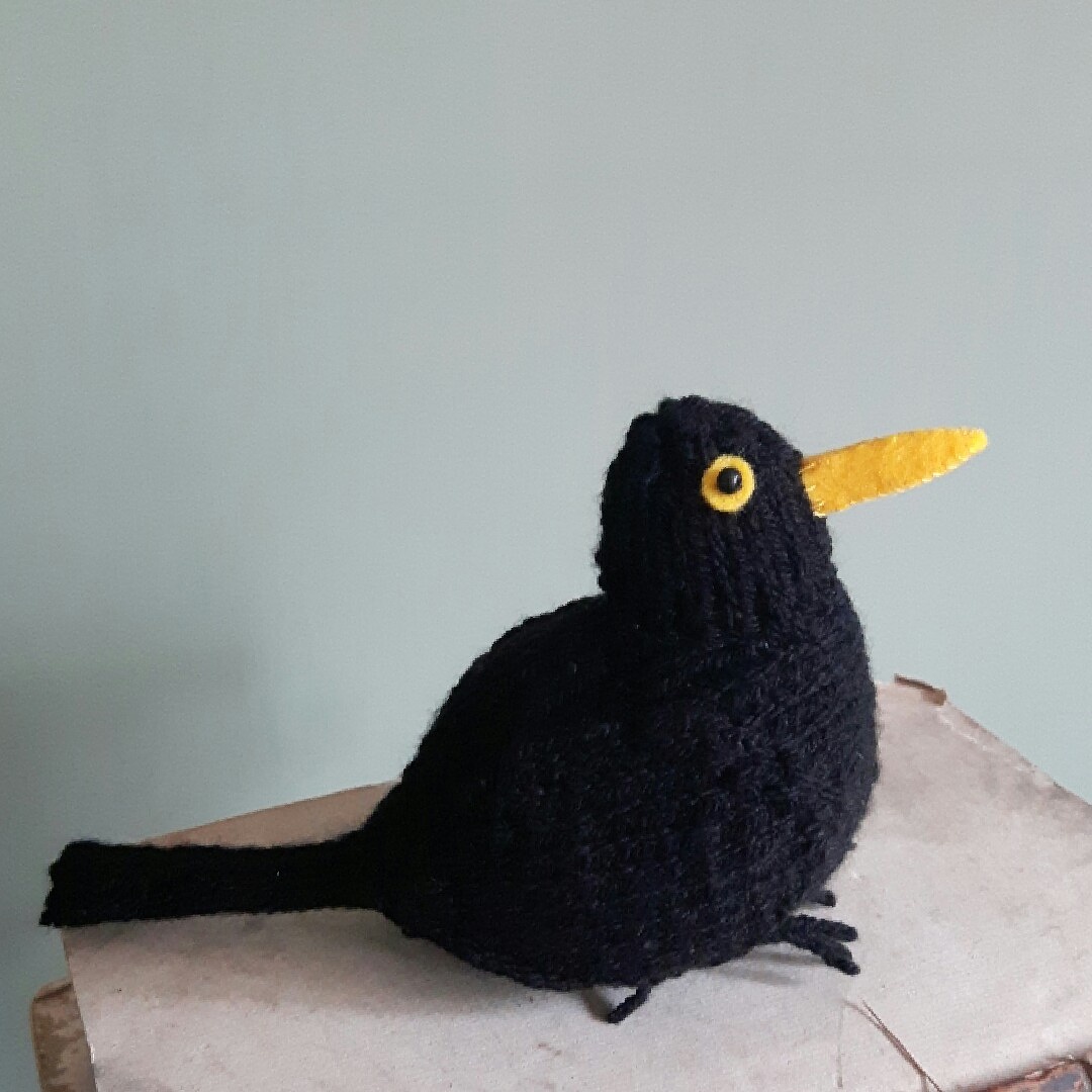 Knit for Victory Blackbird