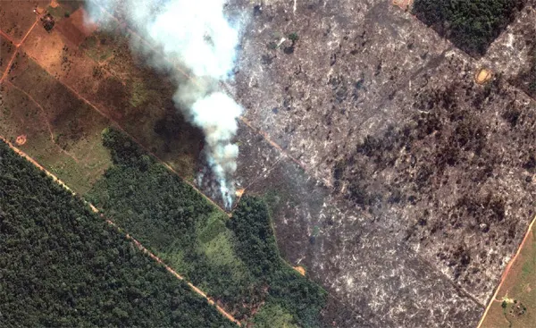 Brazil, News, World, Environmental problems, Amazon rainforest fires; Brasil declares steps to to douse flames