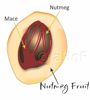 Mace, Nutmeg, fruit, seed, aril