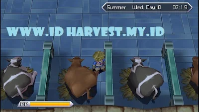 Cara Mendapatkan Hewan Peliharaan di Harvest Moon Innocent Life