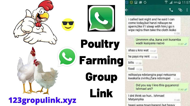 Join 700+ Poultry Farming WhatsApp Group links 2020