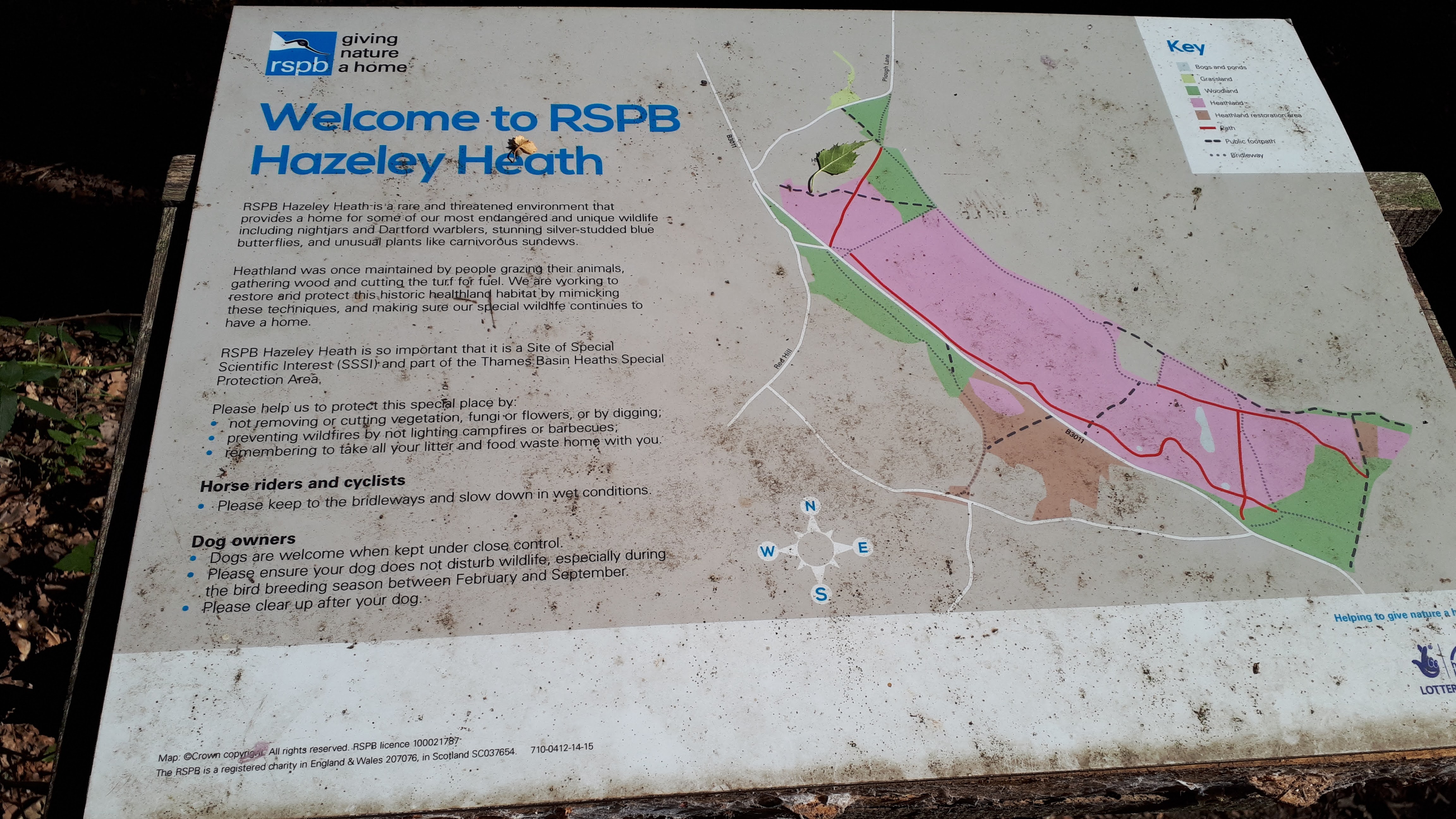 King Alfred's Way Farnham to Reading