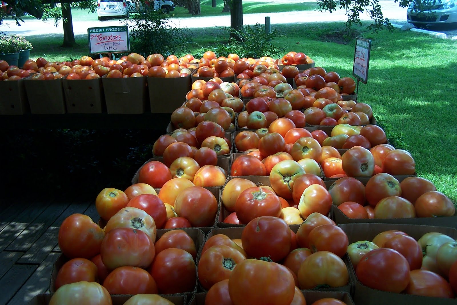 And So it Goes in Shreveport Full Metal Jacket Reach Around The