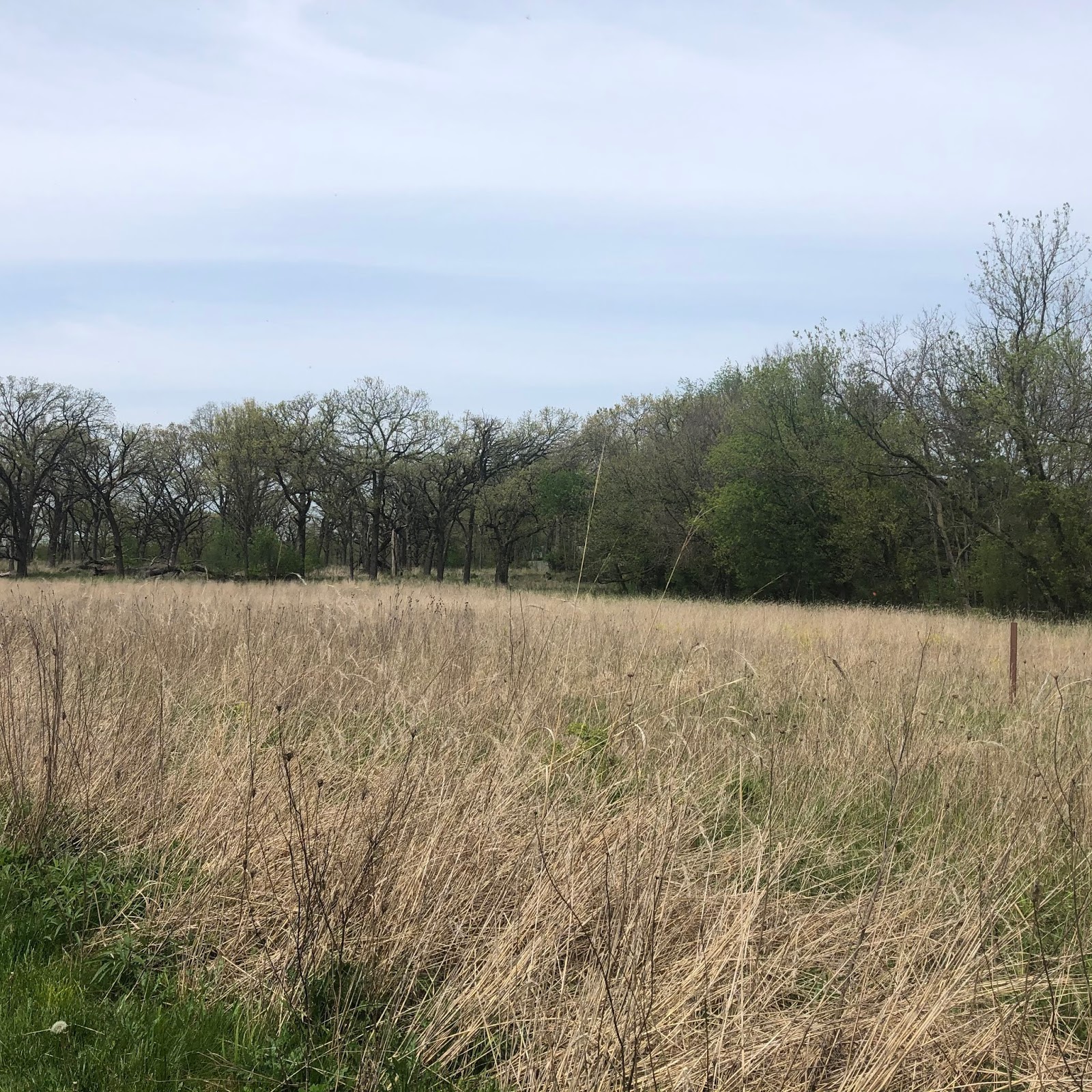 A Little Time and a Keyboard Hiking to a Spectacular View at Grassy