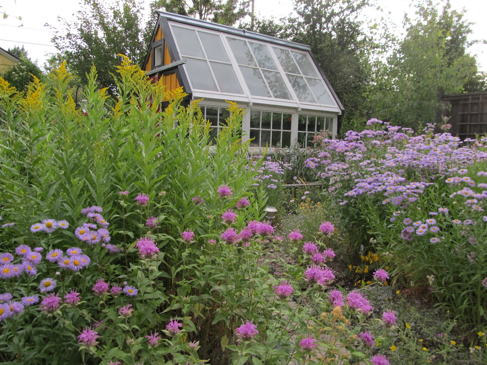 Montana Wildlife Gardener Two Native Plant Gardening Events This Week montana-wildlife-gardener-two-native-plant-gardening-events-this-week