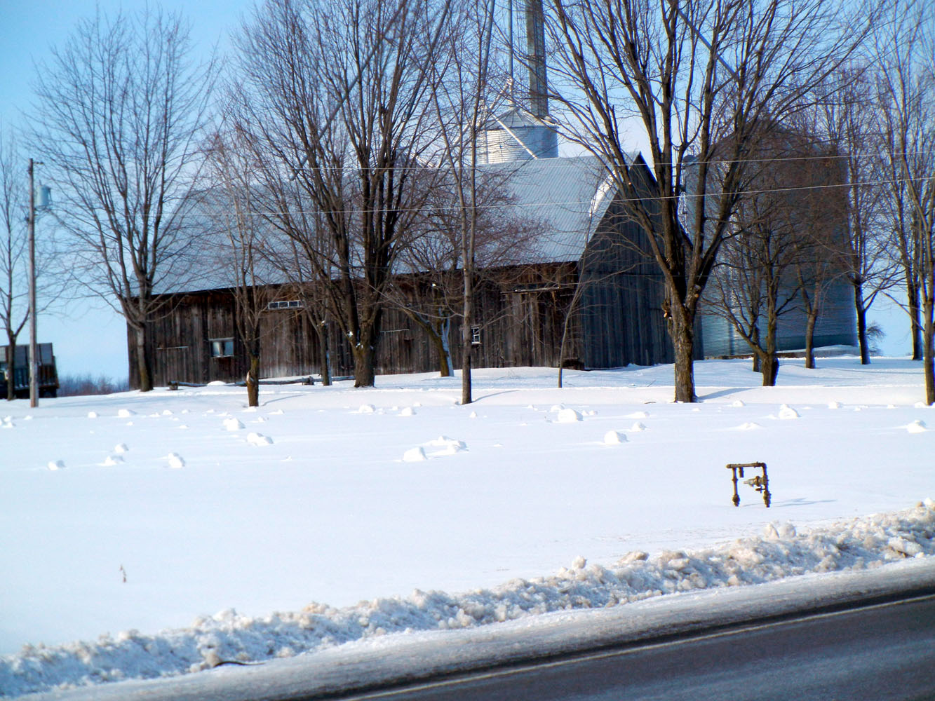 Ronna's Blog Snow Rolls